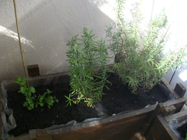 IMGP1023