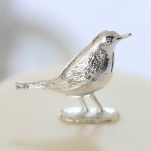 bird5