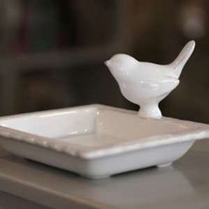 bird8